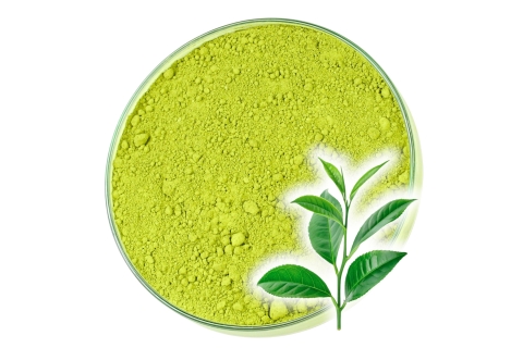 Herbata Zielona Instant JAPAN RYOKUCHA FUNMATSU Siła Katechin !!